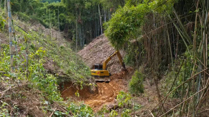 林間“藏龍”，竹海“臥虎”——徐工林業挖機廣西俠客行
